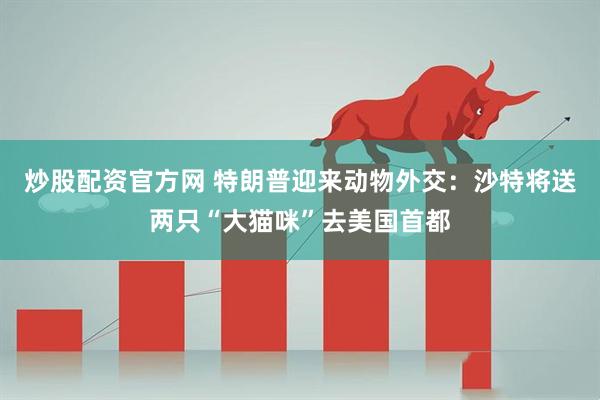炒股配资官方网 特朗普迎来动物外交：沙特将送两只“大猫咪”去美国首都