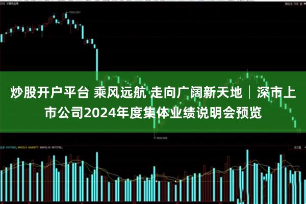 炒股开户平台 乘风远航 走向广阔新天地│深市上市公司2024年度集体业绩说明会预览
